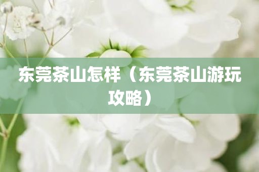 东莞茶山怎样（东莞茶山游玩攻略）