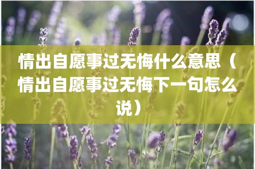 情出自愿事过无悔什么意思（情出自愿事过无悔下一句怎么说）