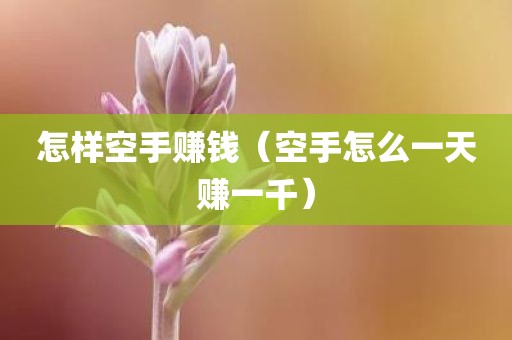 怎样空手赚钱（空手怎么一天赚一千）