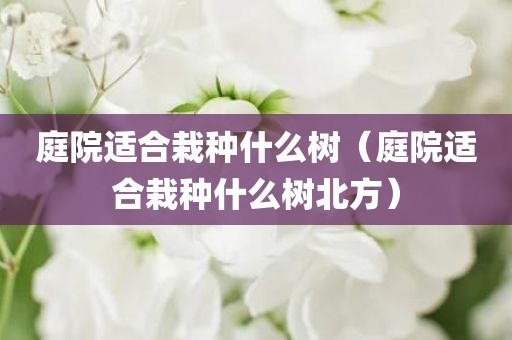 庭院适合栽种什么树（庭院适合栽种什么树北方）
