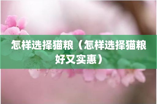 怎样选择猫粮（怎样选择猫粮好又实惠）