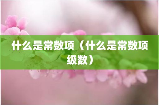 什么是常数项（什么是常数项级数）