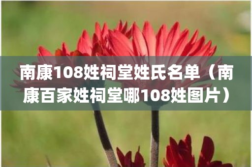 南康108姓祠堂姓氏名单（南康百家姓祠堂哪108姓图片）