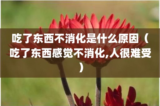 吃了东西不消化是什么原因（吃了东西感觉不消化,人很难受）