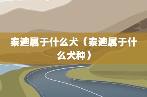 泰迪属于什么犬(泰迪属于什么犬种)