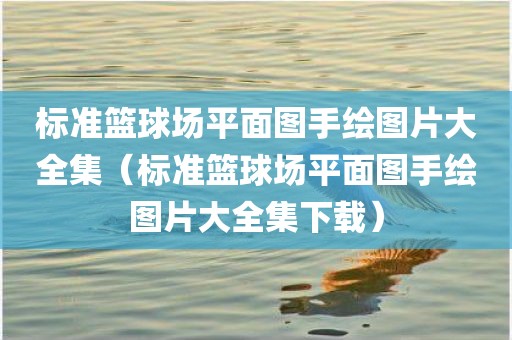 标准篮球场平面图手绘图片大全集（标准篮球场平面图手绘图片大全集下载）