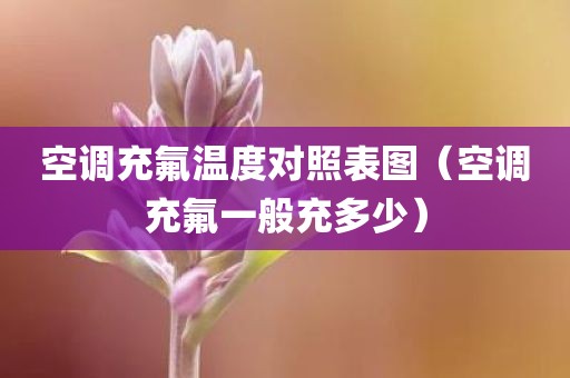 空调充氟温度对照表图（空调充氟一般充多少）