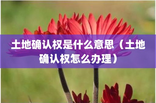 土地确认权是什么意思（土地确认权怎么办理）