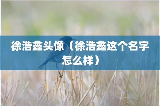 徐浩鑫头像（徐浩鑫这个名字怎么样）