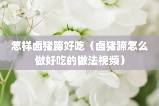 怎样卤猪蹄好吃（卤猪蹄怎么做好吃的做法视频）