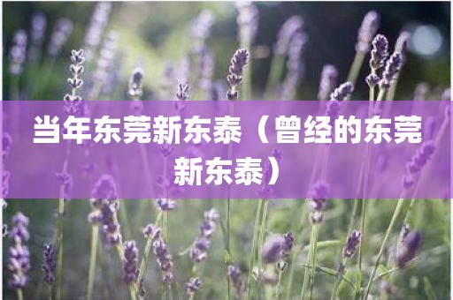 当年东莞新东泰（曾经的东莞新东泰）