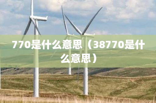 770是什么意思(38770是什么意思)
