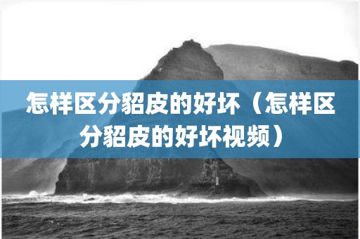 怎样区分貂皮的好坏（怎样区分貂皮的好坏视频）