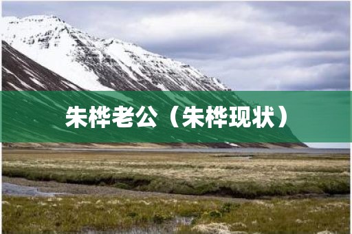 朱桦老公（朱桦现状）