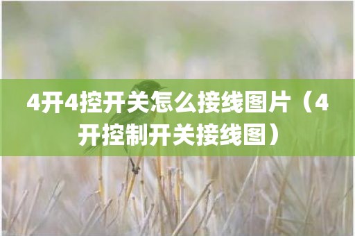 4开4控开关怎么接线图片（4开控制开关接线图）