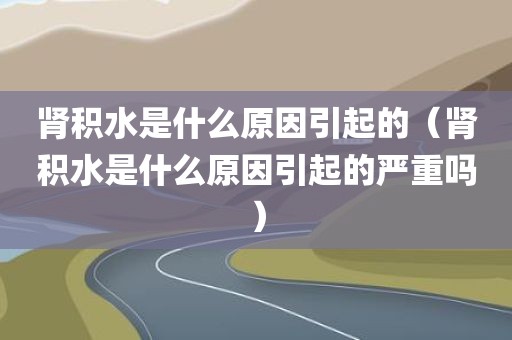 肾积水是什么原因引起的（肾积水是什么原因引起的严重吗）