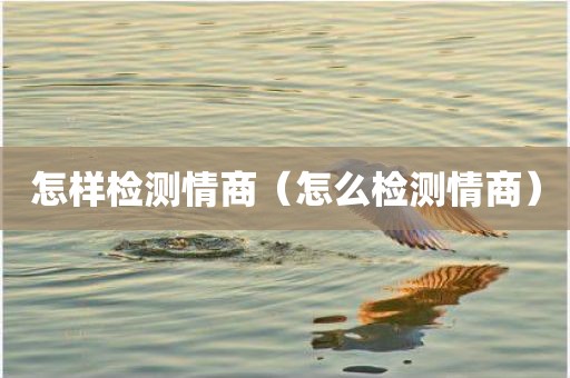 怎样检测情商（怎么检测情商）