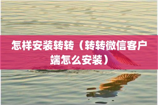 怎样安装转转（转转微信客户端怎么安装）