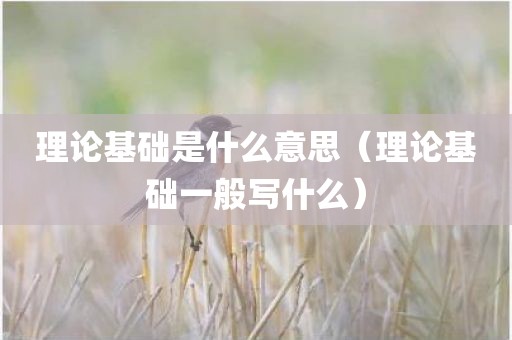 理论基础是什么意思（理论基础一般写什么）