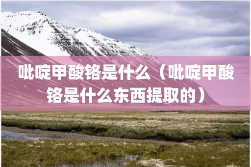 吡啶甲酸铬是什么（吡啶甲酸铬是什么东西提取的）
