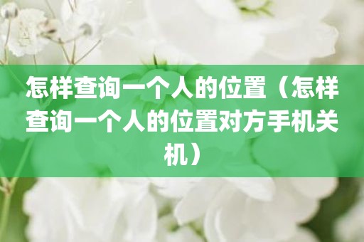 怎样查询一个人的位置（怎样查询一个人的位置对方手机关机）