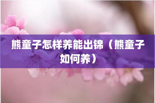 熊童子怎样养能出锦（熊童子如何养）