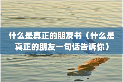 什么是真正的朋友书(什么是真正的朋友一句话告诉你)
