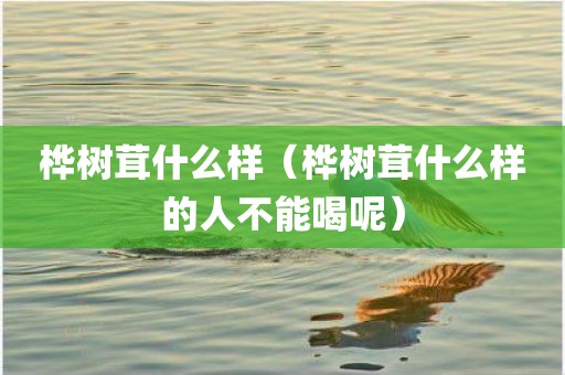 桦树茸什么样（桦树茸什么样的人不能喝呢）