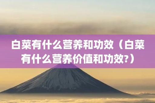 白菜有什么营养和功效（白菜有什么营养价值和功效?）