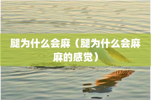 腿为什么会麻（腿为什么会麻麻的感觉）