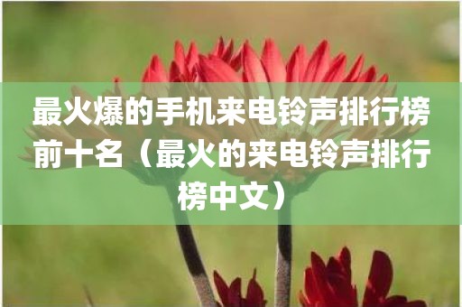 最火爆的手机来电铃声排行榜前十名（最火的来电铃声排行榜中文）