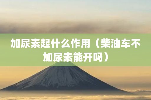 加尿素起什么作用(柴油车不加尿素能开吗)