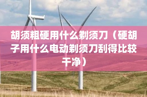 胡须粗硬用什么剃须刀(硬胡子用什么电动剃须刀刮得比较干净)