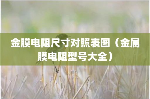 金膜电阻尺寸对照表图（金属膜电阻型号大全）