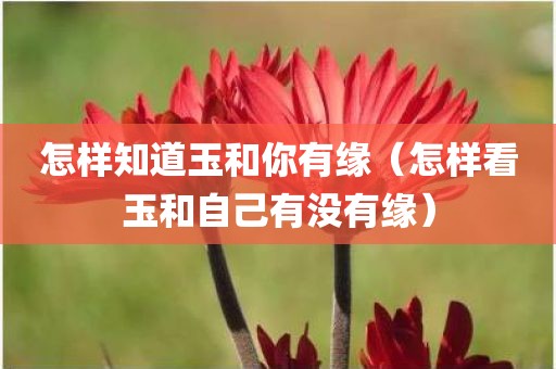 怎样知道玉和你有缘（怎样看玉和自己有没有缘）