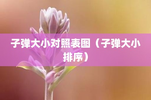 子弹大小对照表图（子弹大小排序）
