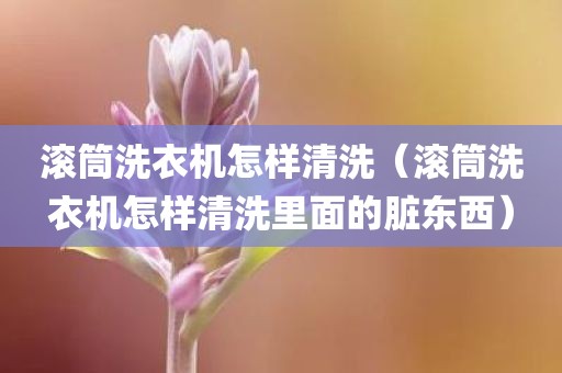 滚筒洗衣机怎样清洗（滚筒洗衣机怎样清洗里面的脏东西）