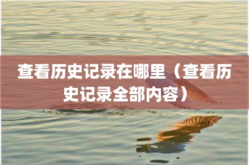 查看历史记录在哪里（查看历史记录全部内容）