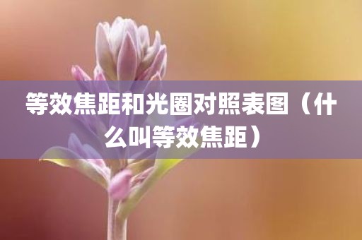 等效焦距和光圈对照表图（什么叫等效焦距）