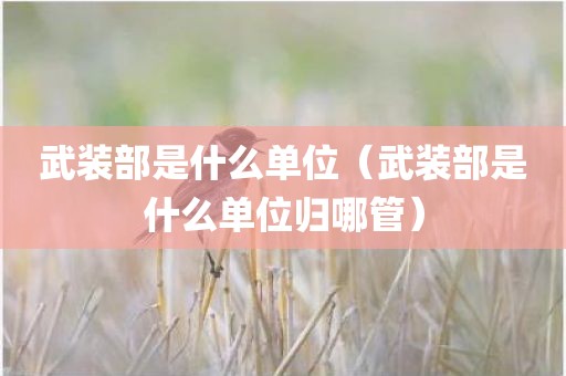 武装部是什么单位（武装部是什么单位归哪管）