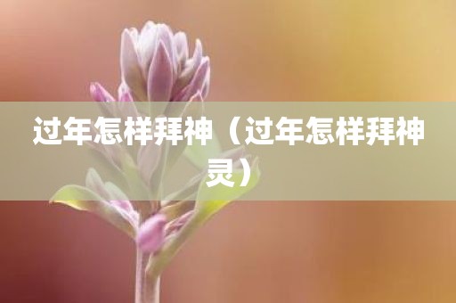 过年怎样拜神（过年怎样拜神灵）