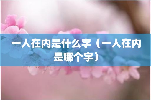 一人在内是什么字（一人在内是哪个字）