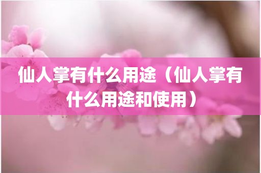 仙人掌有什么用途（仙人掌有什么用途和使用）