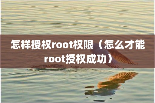 怎样授权root权限（怎么才能root授权成功）