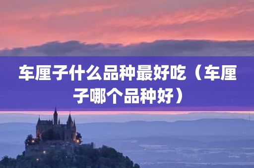 车厘子什么品种最好吃（车厘子哪个品种好）