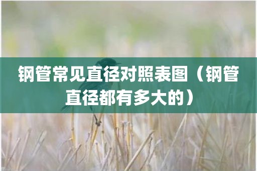 钢管常见直径对照表图（钢管直径都有多大的）