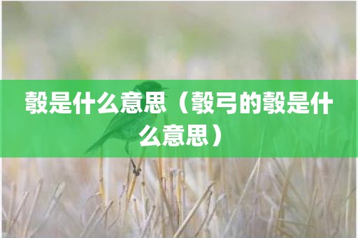 彀是什么意思（彀弓的彀是什么意思）