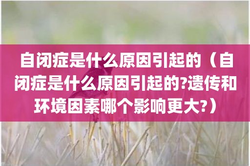 自闭症是什么原因引起的（自闭症是什么原因引起的?遗传和环境因素哪个影响更大?）