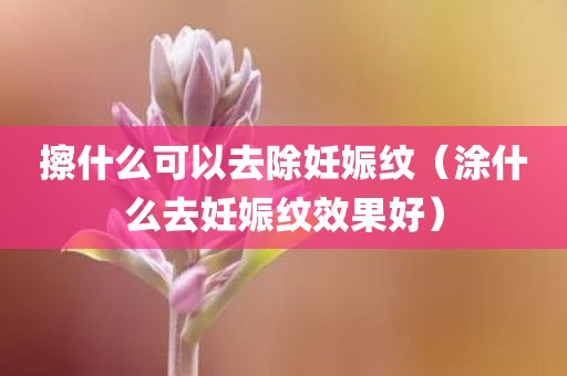 擦什么可以去除妊娠纹（涂什么去妊娠纹效果好）
