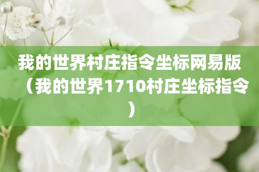 我的世界村庄指令坐标网易版(我的世界1710村庄坐标指令) 我的世界村庄指令坐标网易版(我的世界1710村庄坐标指令)